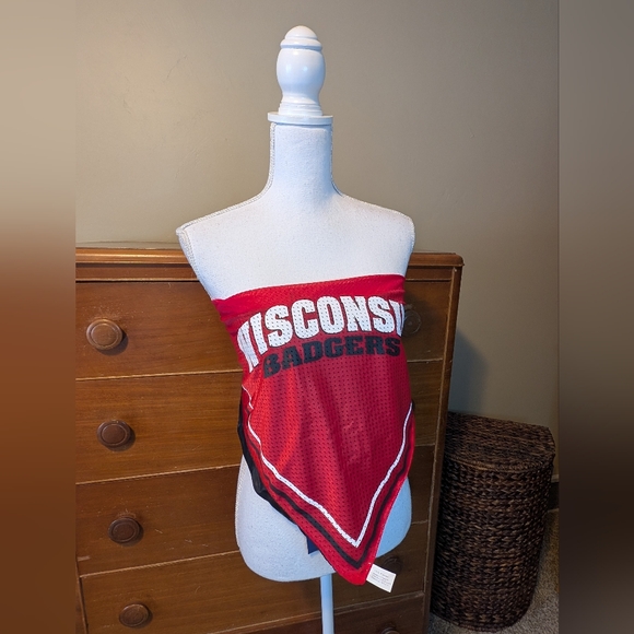 Wisconsin Badgers Bandana Head Scarf Bandana Tie Shirt - Picture 3 of 10